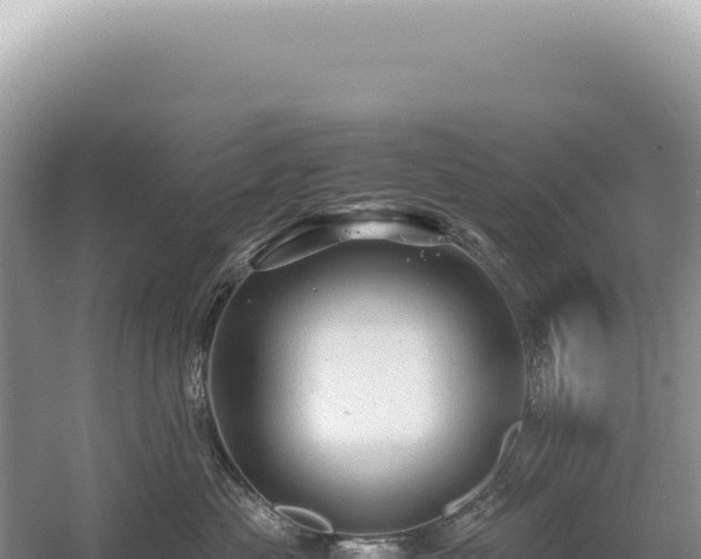 X0000054410477200508051744