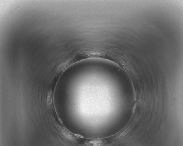 X0000054410478200508051744