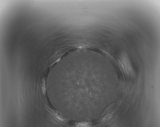 X0000054410479200508051744