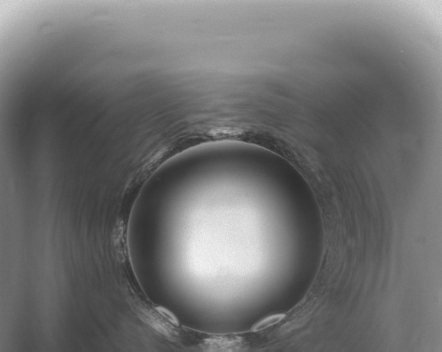 X0000054410480200508051744