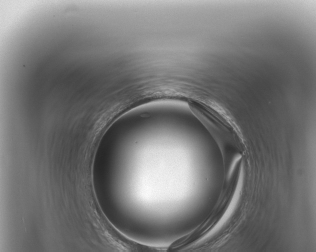 X0000054410481200508051744