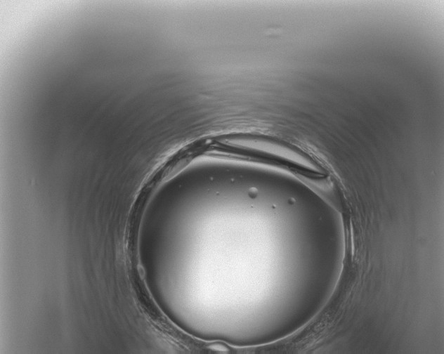 X0000054410483200508051744