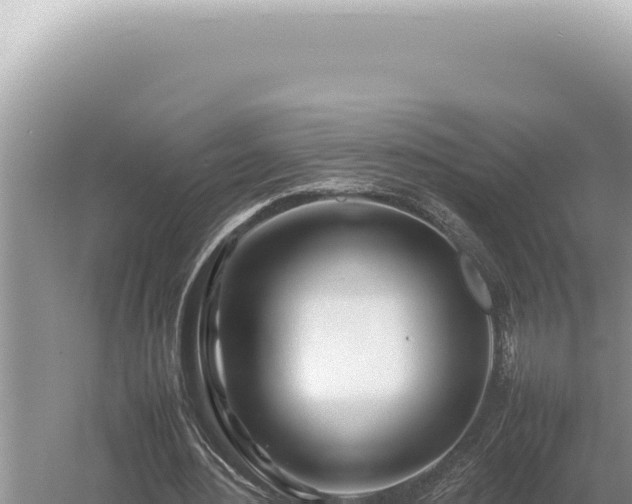 X0000054410484200508051744