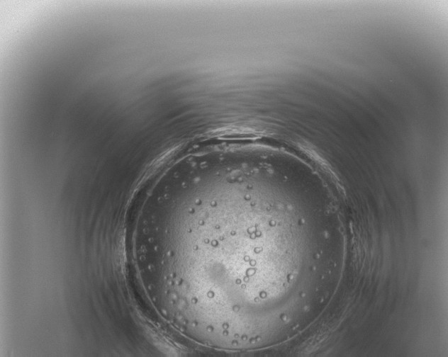 X0000054410486200508051743