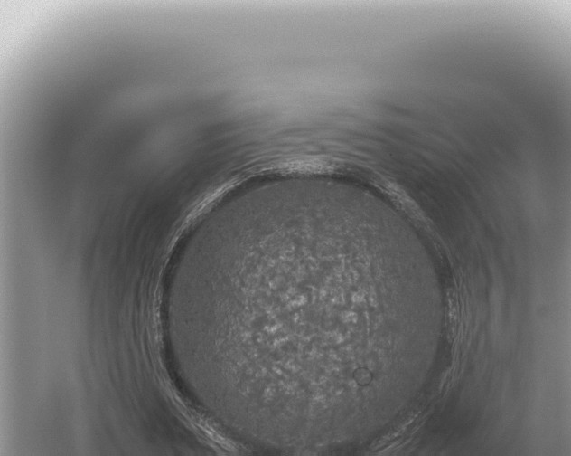 X0000054410487200508051743