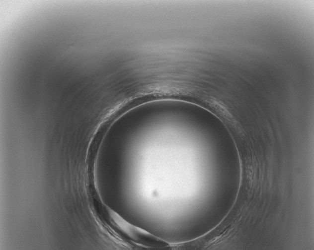 X0000054410488200508051743