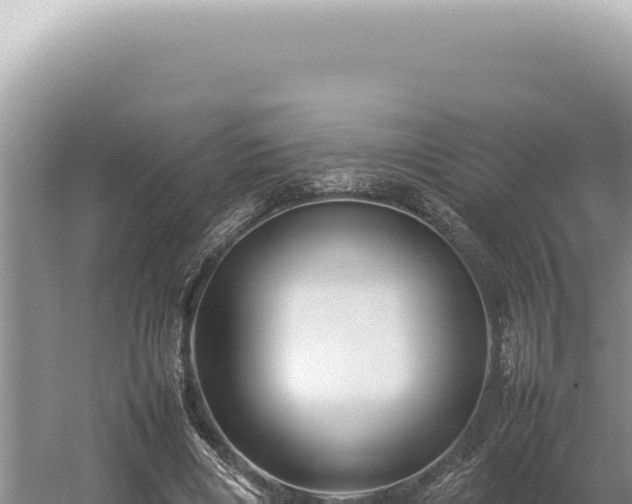 X0000054410490200508051743