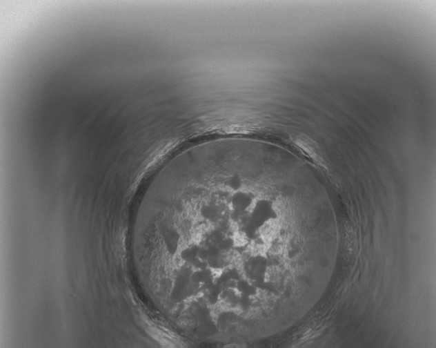 X0000054410491200508051743