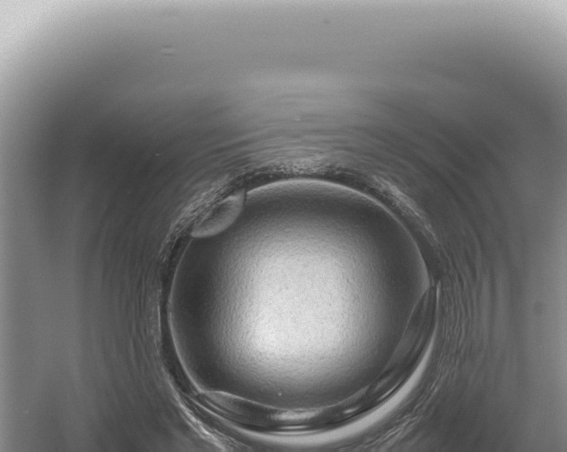 X0000054410493200508051743