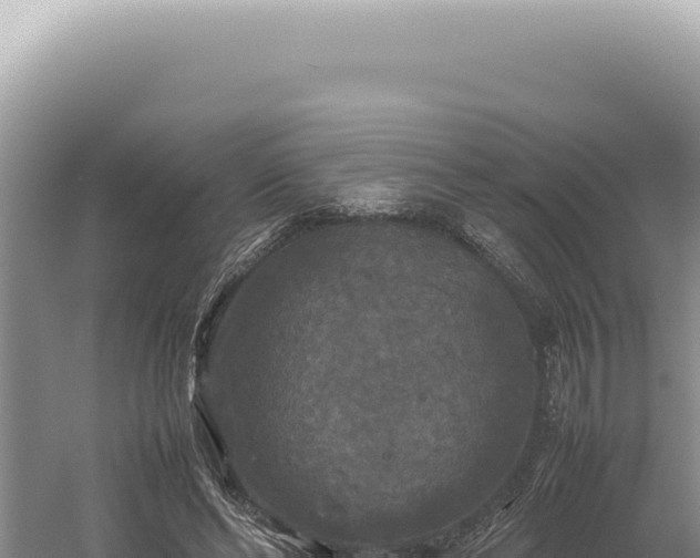 X0000054410494200508051743