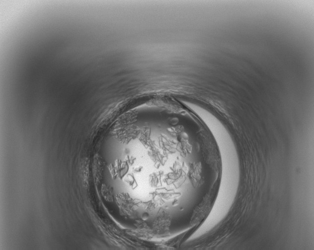 X0000054410495200508051743