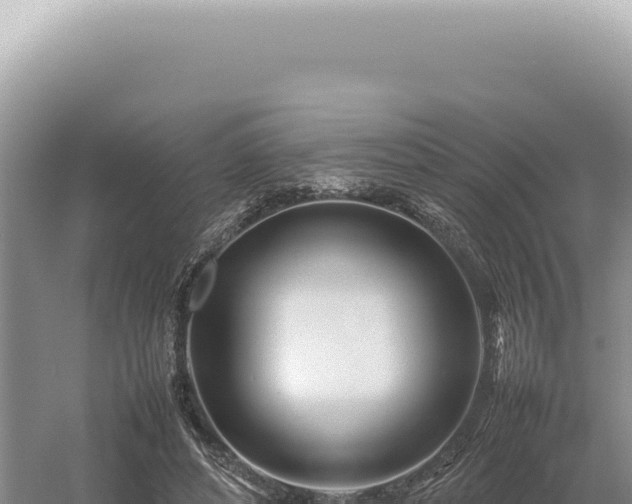 X0000054410496200508051743