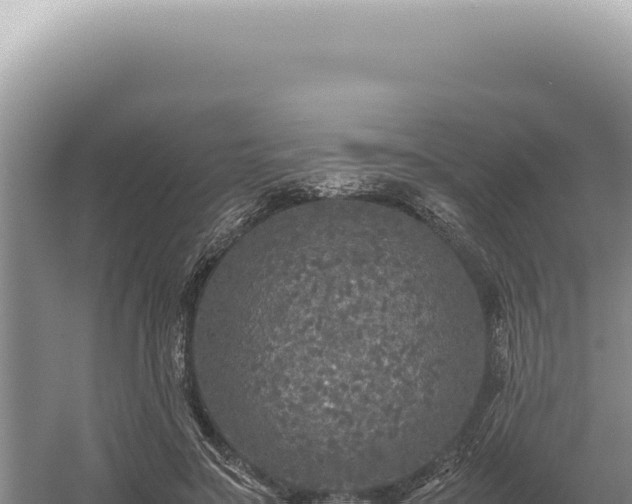 X0000054410499200508051743