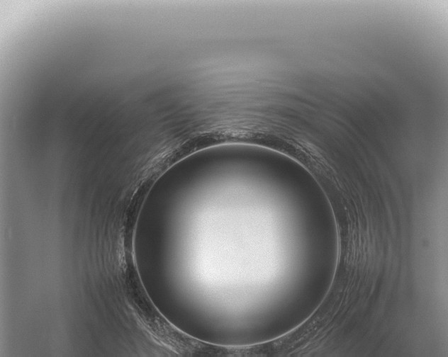 X0000054410500200508051743