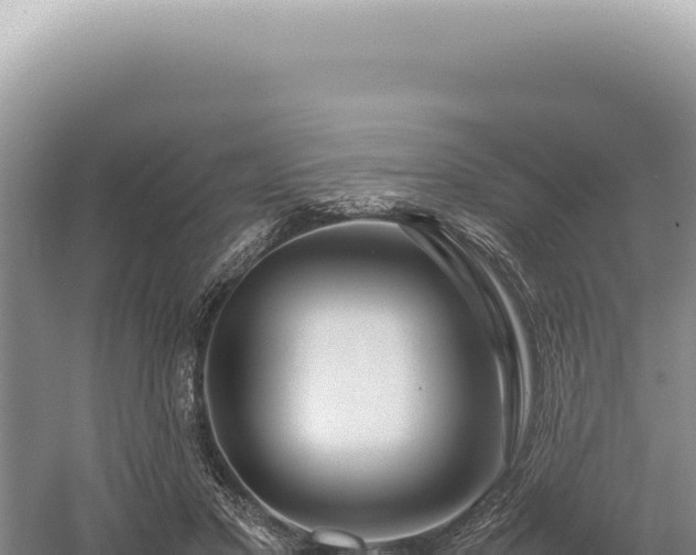 X0000054410501200508051743