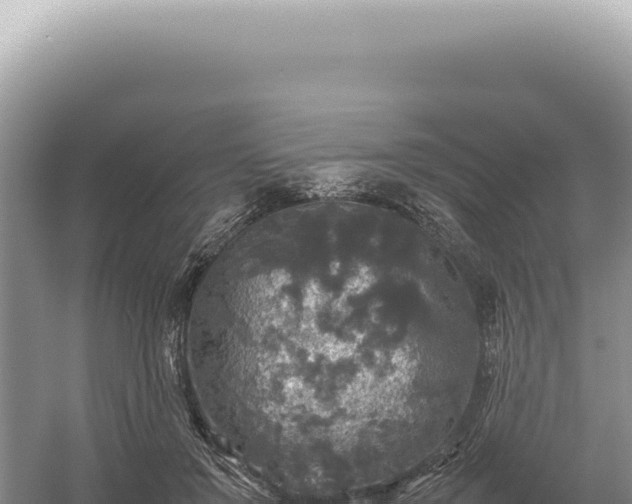 X0000054410503200508051743