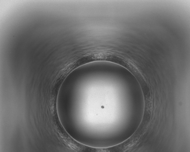 X0000054410505200508051743