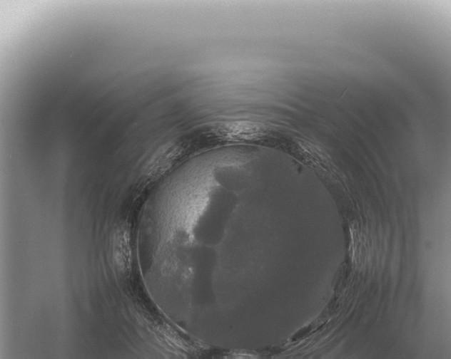 X0000054410506200508051743