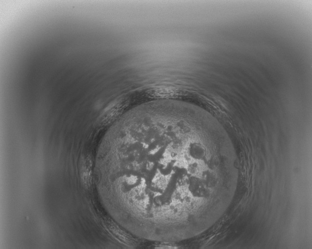 X0000054410507200508051743