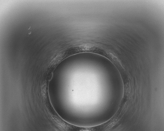 X0000054410509200508051743