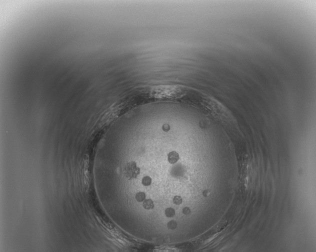 X0000054410510200508051743