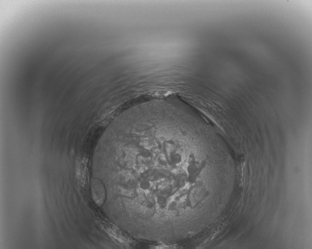 X0000054410511200508051743