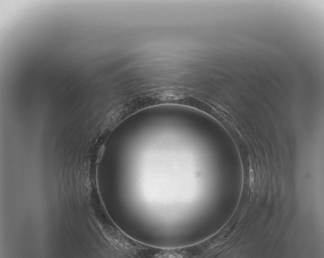 X0000054410512200508051743