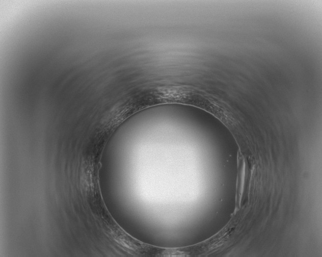 X0000054410514200508051743