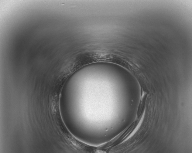 X0000054410515200508051743