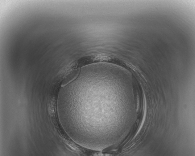 X0000054410517200508051743