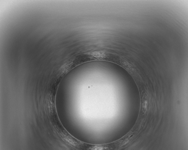 X0000054410518200508051743