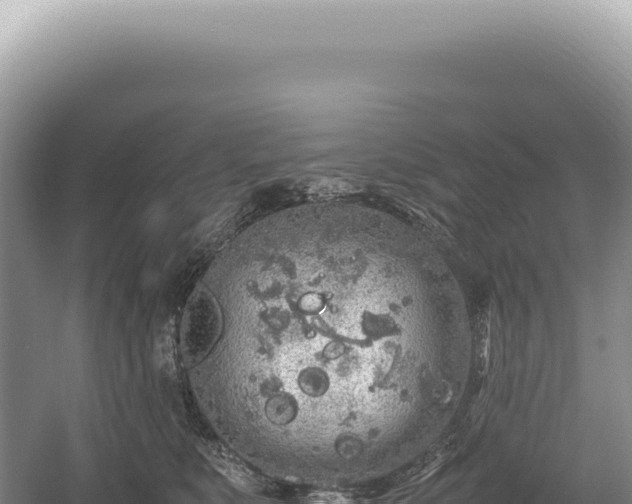 X0000054410519200508051743