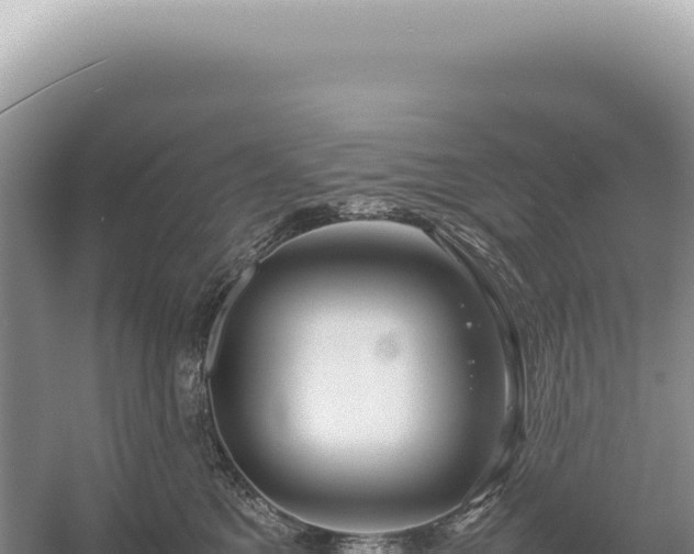 X0000054410521200508051743