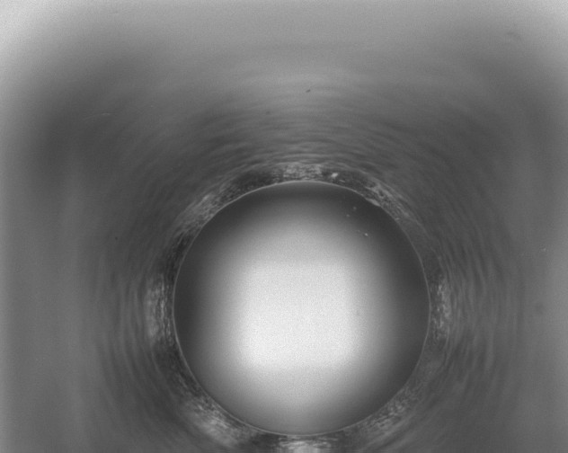 X0000054410522200508051743