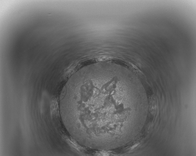 X0000054410523200508051743