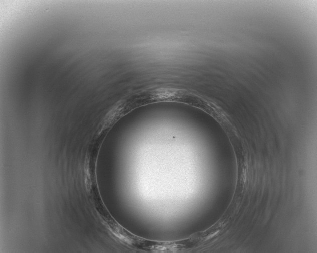 X0000054410524200508051743