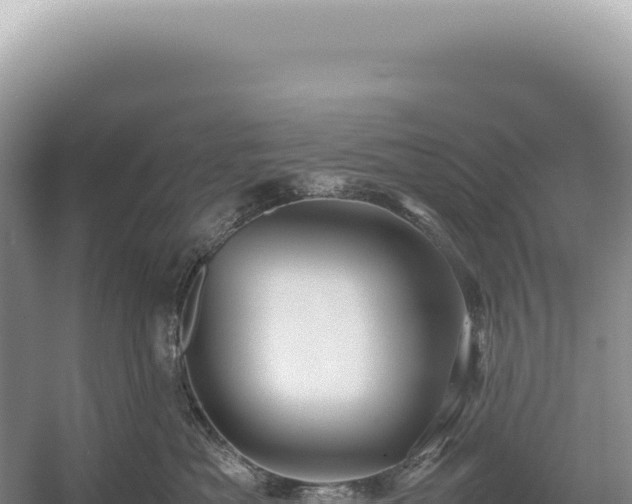 X0000054410525200508051743