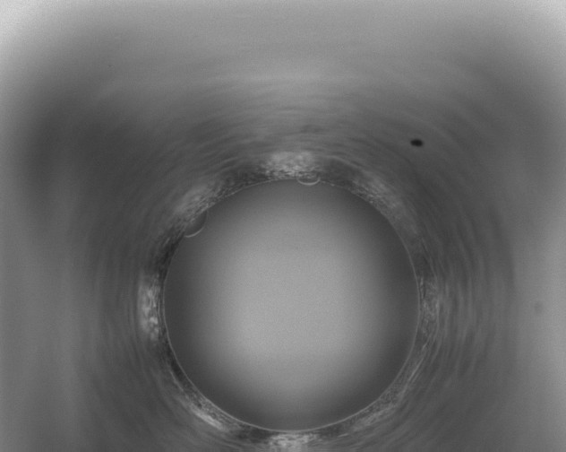 X0000054410526200508051743