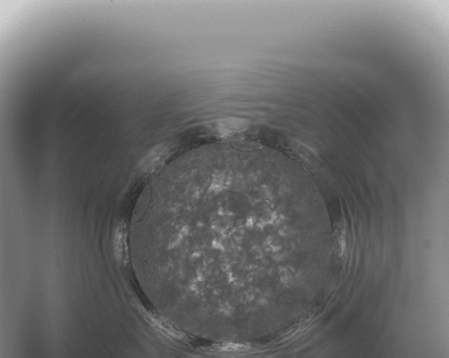 X0000054410527200508051743