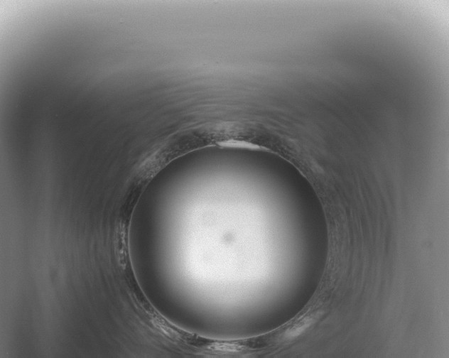 X0000054410528200508051743