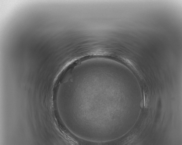 X0000054410531200508051742