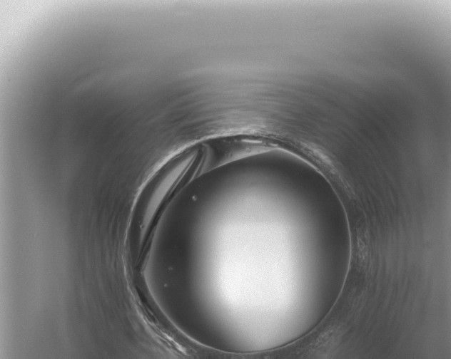 X0000054410532200508051742