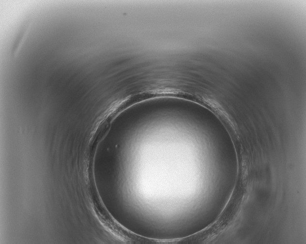 X0000054410533200508051742