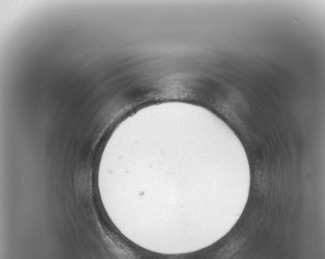 X0000054410534200508051742