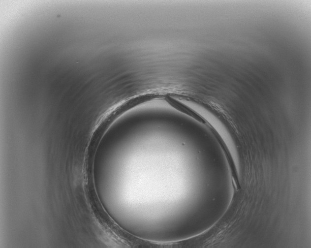 X0000054410536200508051742