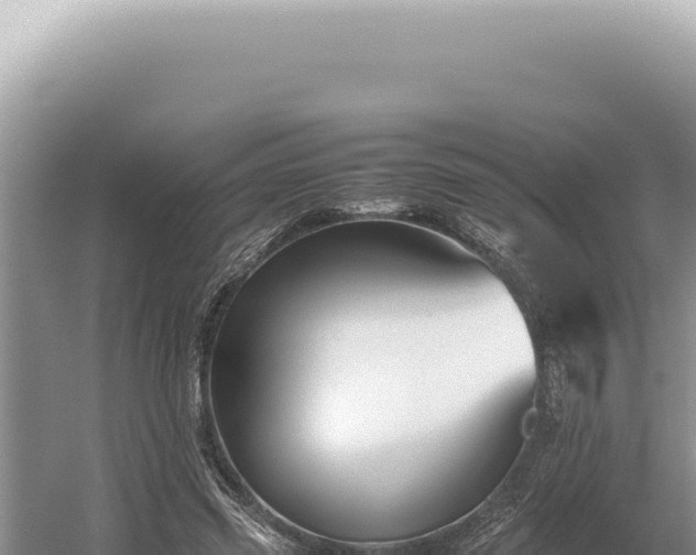 X0000054410541200508051742