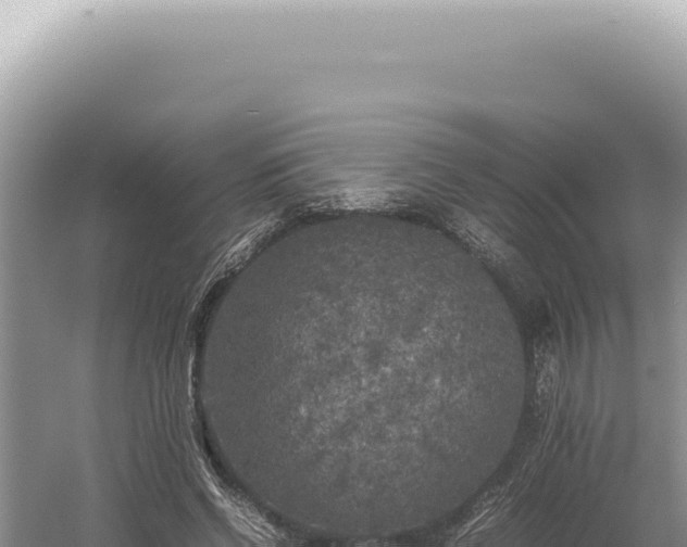 X0000054410542200508051742