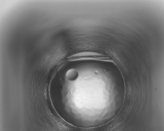 X0000054410545200508051742