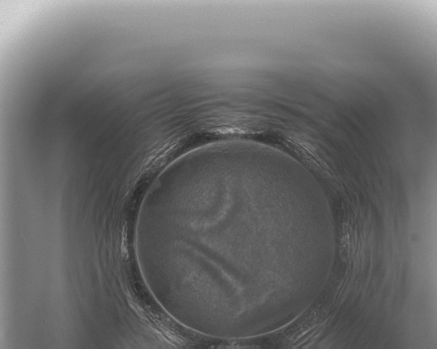 X0000054410547200508051742