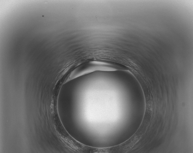 X0000054410552200508051742